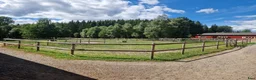  stallplats finnes: Stallplats utanför Gislaved  - Annons 1
