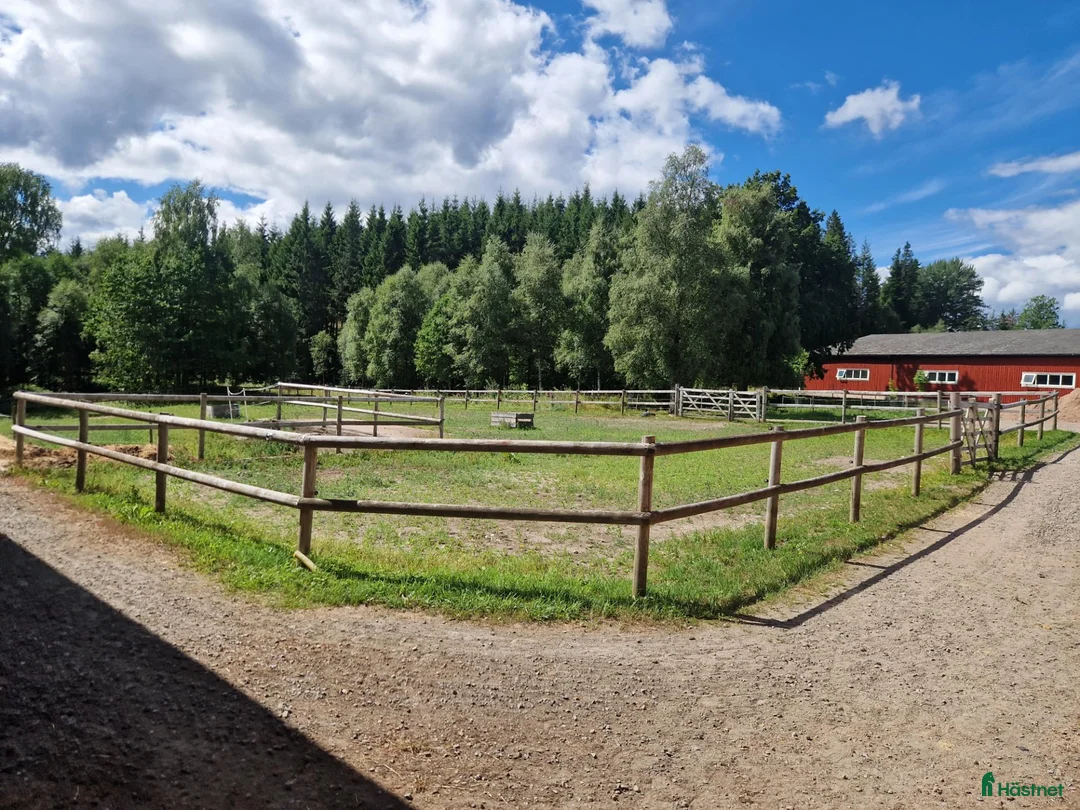  stallplats finnes: Stallplats utanför Gislaved  - Annons 1