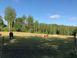 stallplats Stallplats stall riksten Tullinge - Annons 2