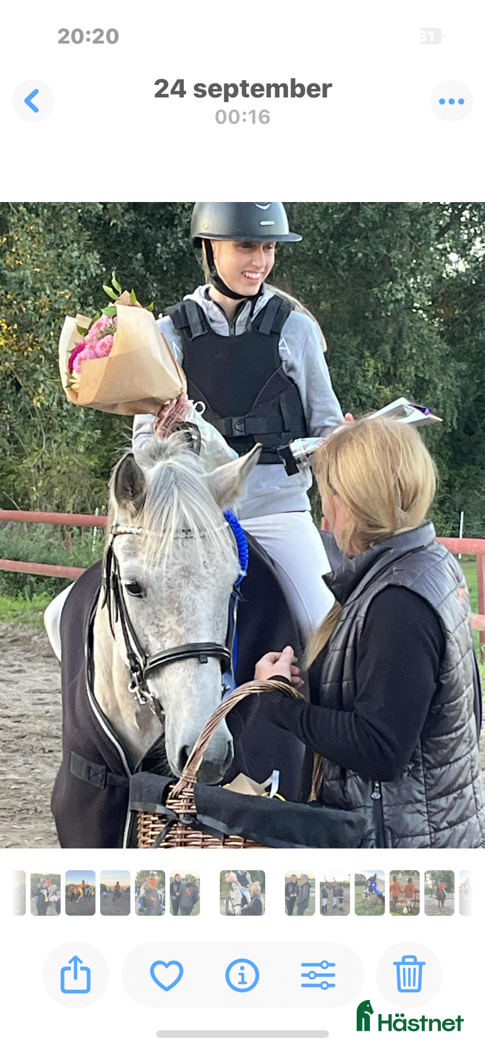  hästar Fin B-ponny / tävlings ponny i Kävlinge - Annons 15