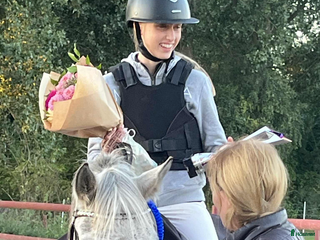 hästar Fin B-ponny / tävlings ponny i Kävlinge - Annons 5