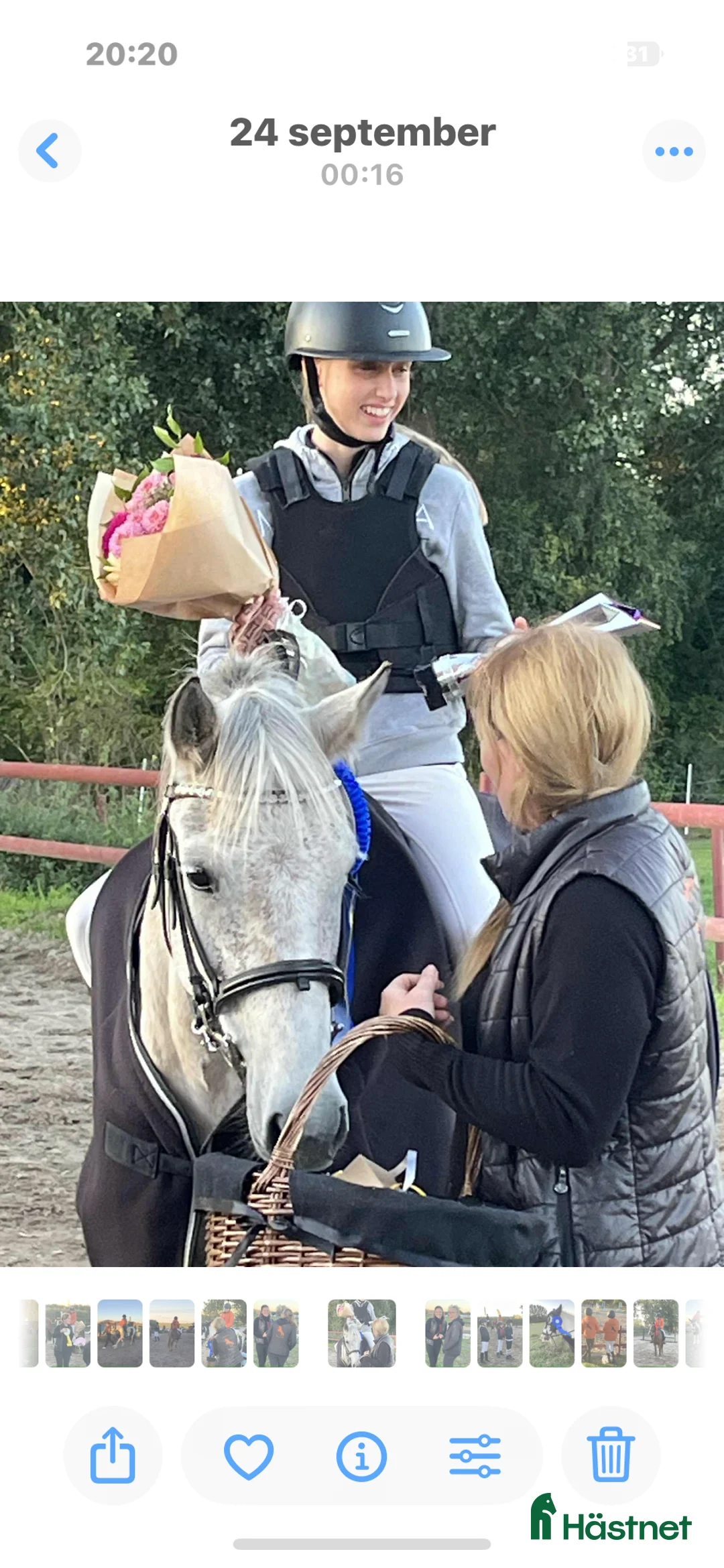 Allround hästar till salu: Fin B-ponny / tävlings ponny - Annons 2