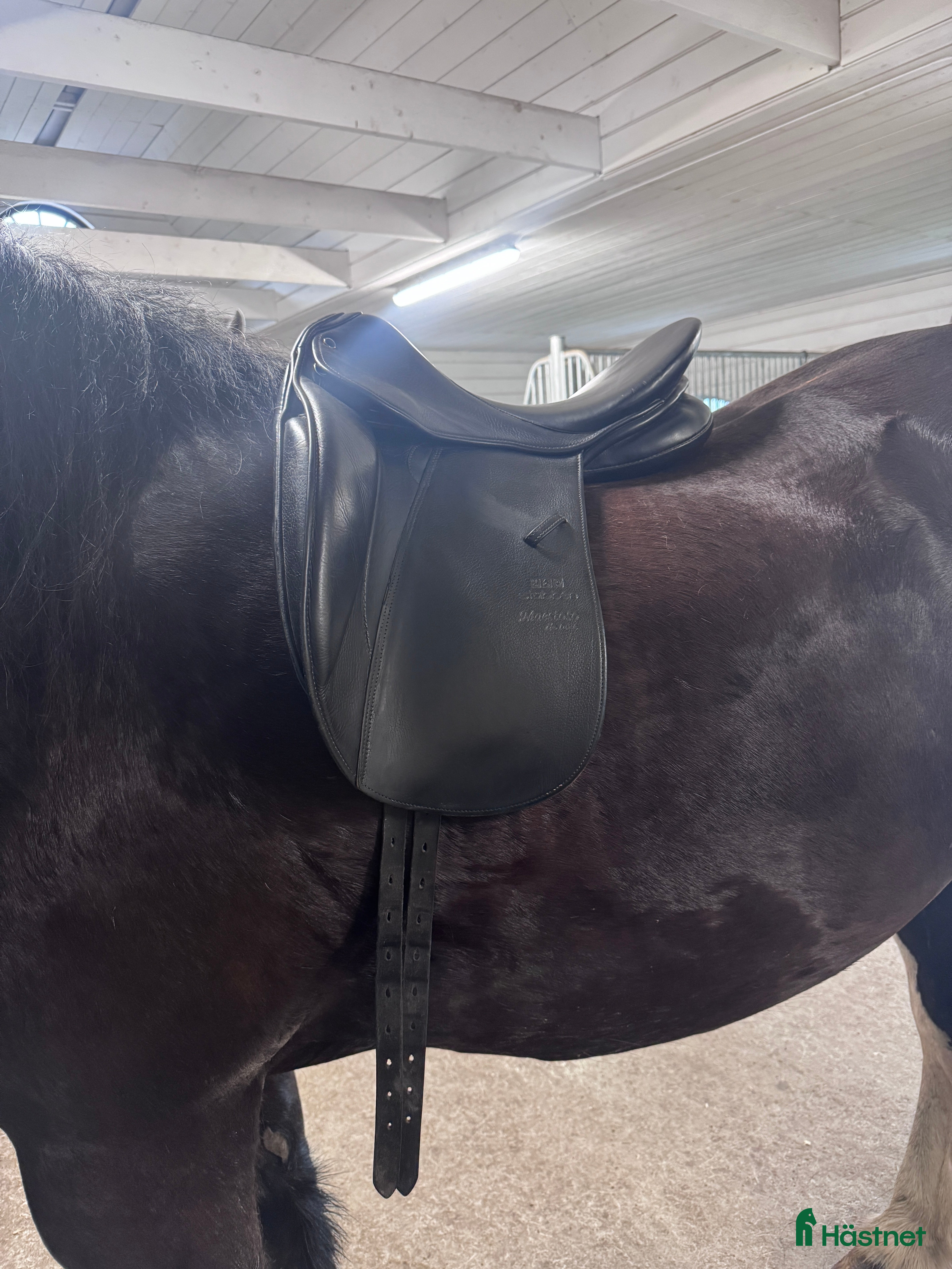 Sadlar hästutrustning till salu: Stubben i Grängesberg - Annons 3