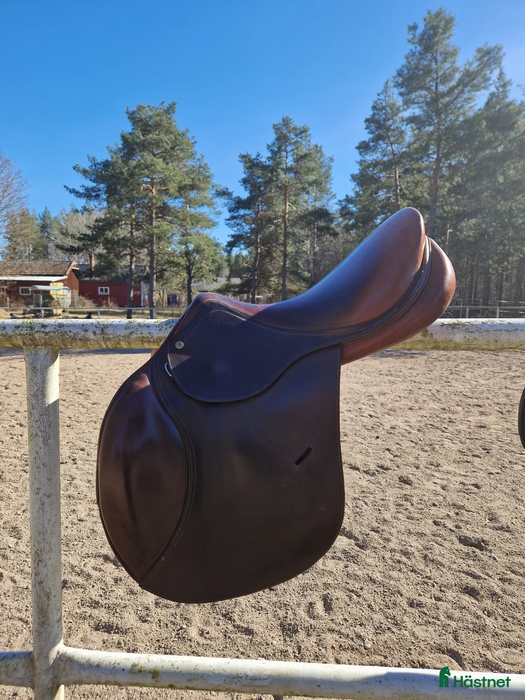 Sadlar hästutrustning till salu: Tolga hoppsadel - Annons 1