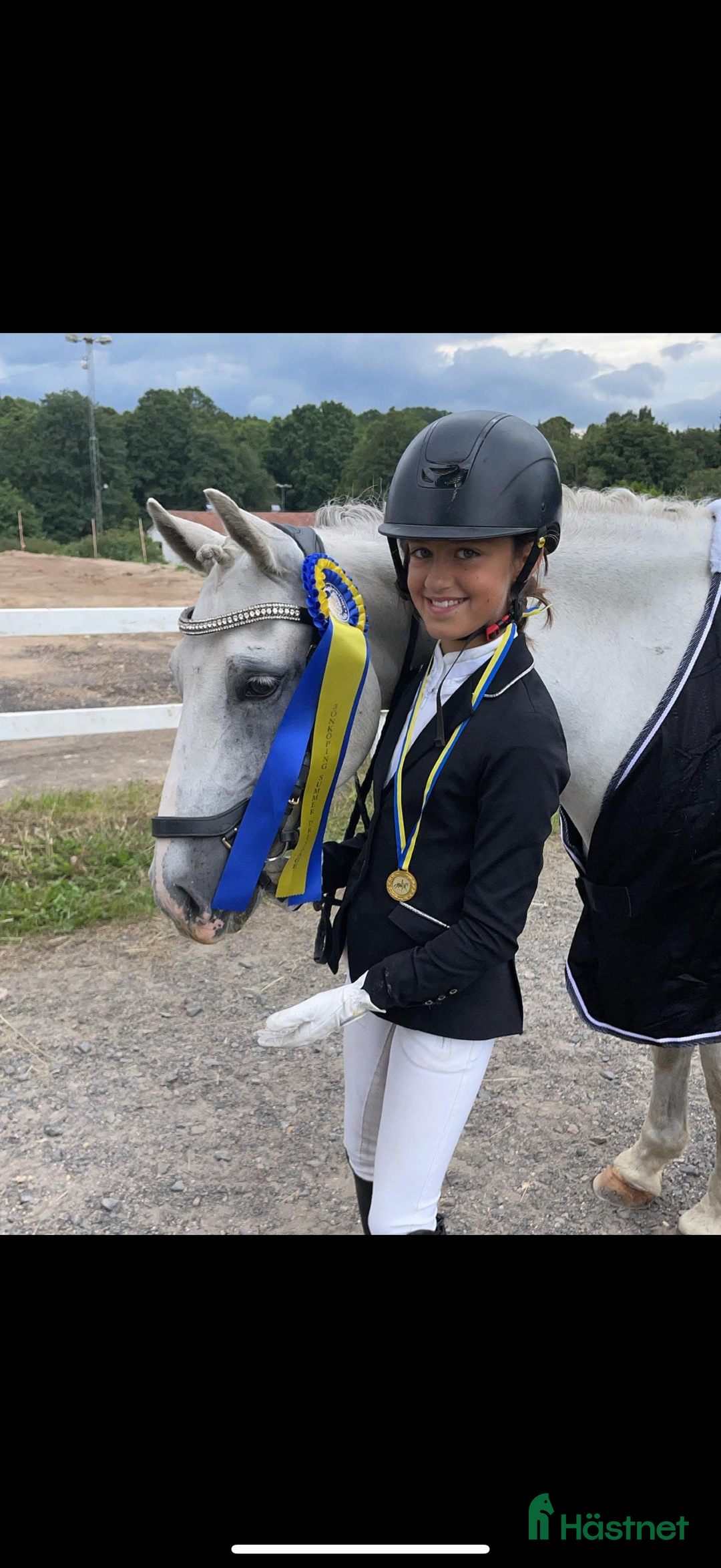 Dressyr hästar till salu: Drömponny för den lilla ryttaren i Norrköping - Annons 12