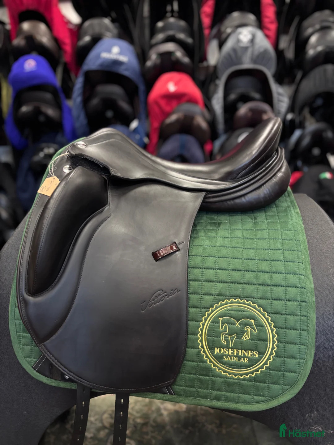 Sadlar hästutrustning till salu: Erreplus Vittoria ✨ - Annons 1