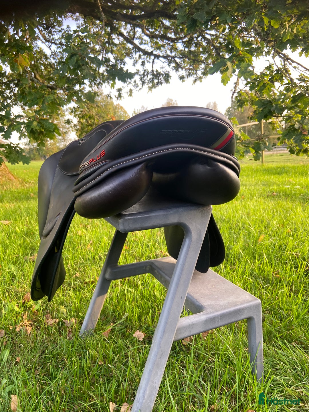 Sadlar hästutrustning till salu: Erreplus JF hoppsadel 17 tum – fint skick i Ljungby - Annons 3