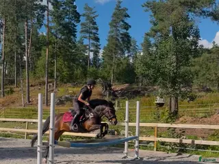 hästar Fina Lego - Annons 6