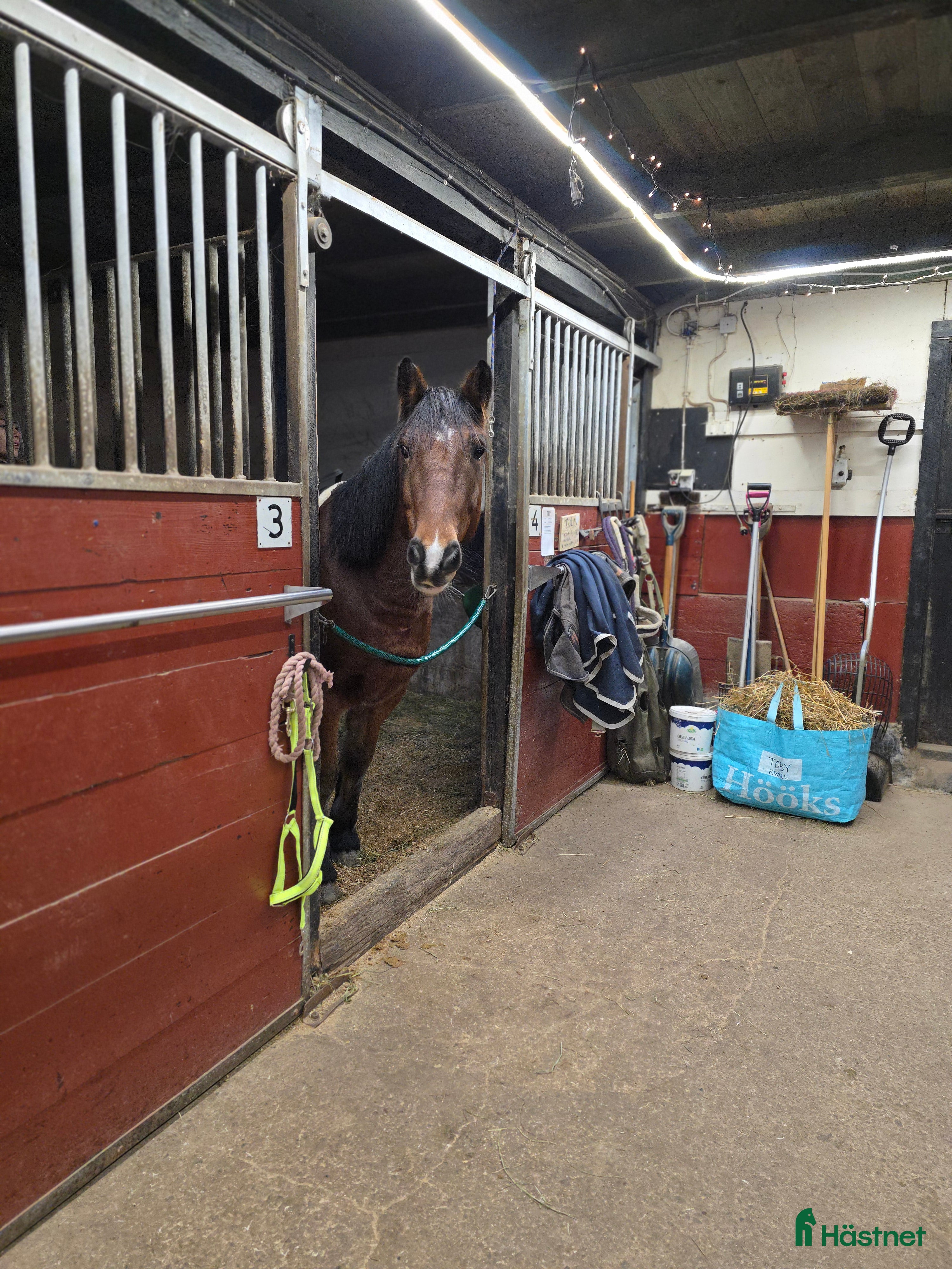  stallplats Stallplats i Jönköping - Annons 5