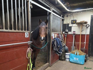 stallplats Stallplats i Jönköping - Annons 14