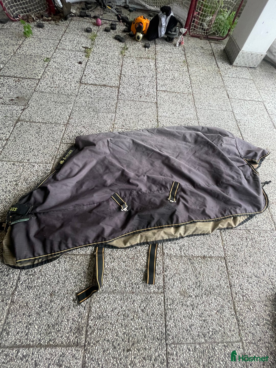 Täcken hästutrustning till salu: Olika täcken i Luleå - Annons 2