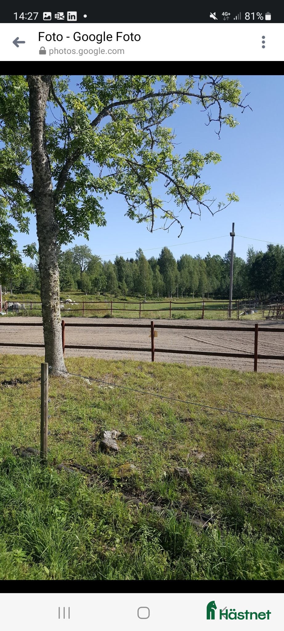  stallplats Stallplatser I trivsamt stall utanför Katrineholm  - Annons 1