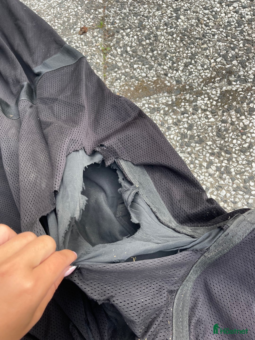 Täcken hästutrustning till salu: Back on track täcke i Luleå - Annons 4