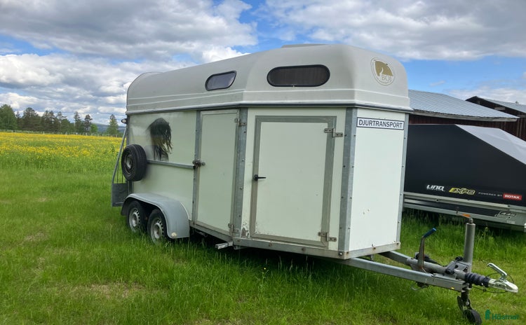 Hästtransporter  fordon & transport till salu i Vuollerim - Annons 7