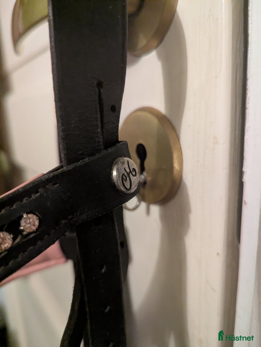 Träns hästutrustning till salu: Rosa träns i Ås - Annons 2