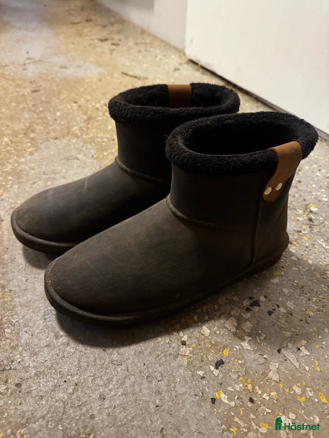 Ridstövlar ryttarutrustning till salu: Penelope skor i Ödsmål - Annons 1