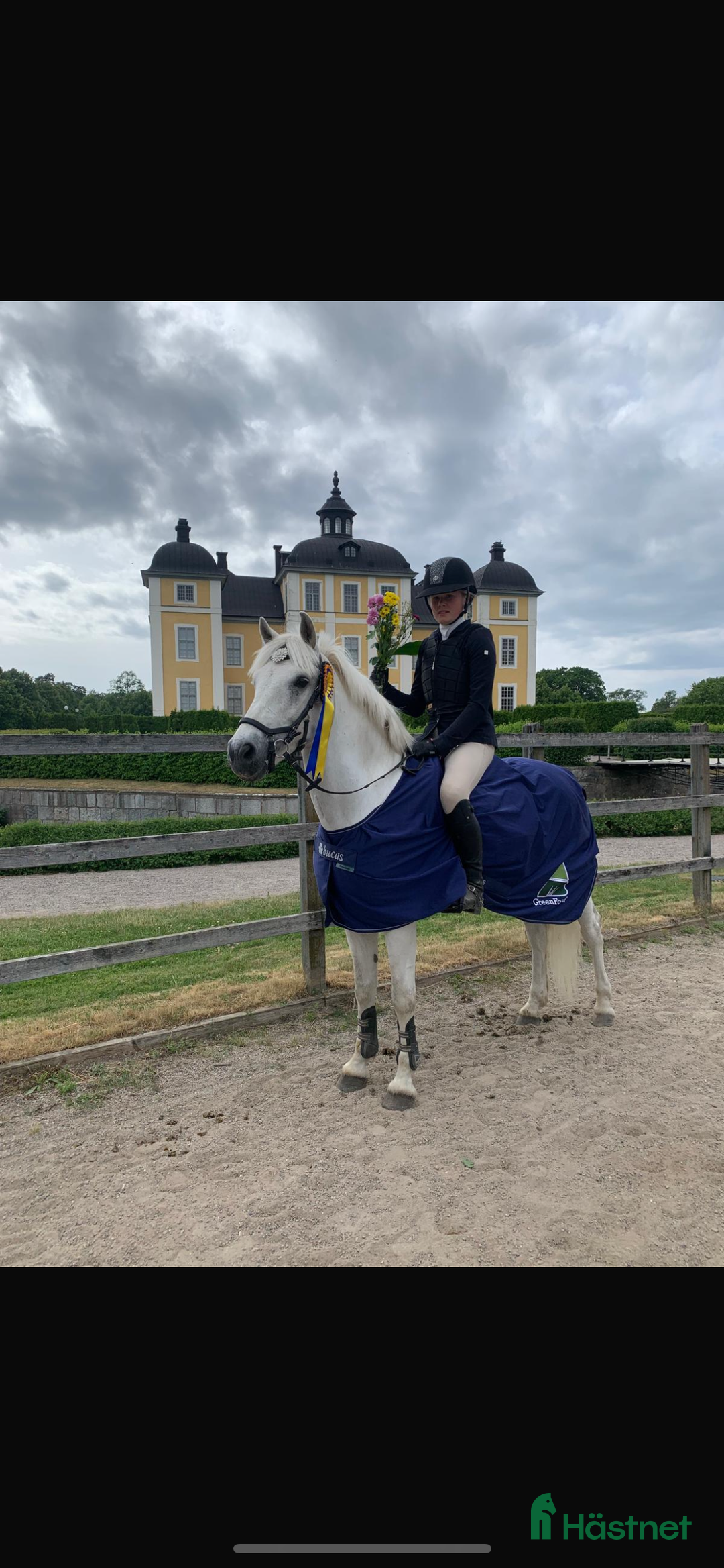 Hoppning hästar till salu: C ponny för de högsta klasserna  - Annons 2