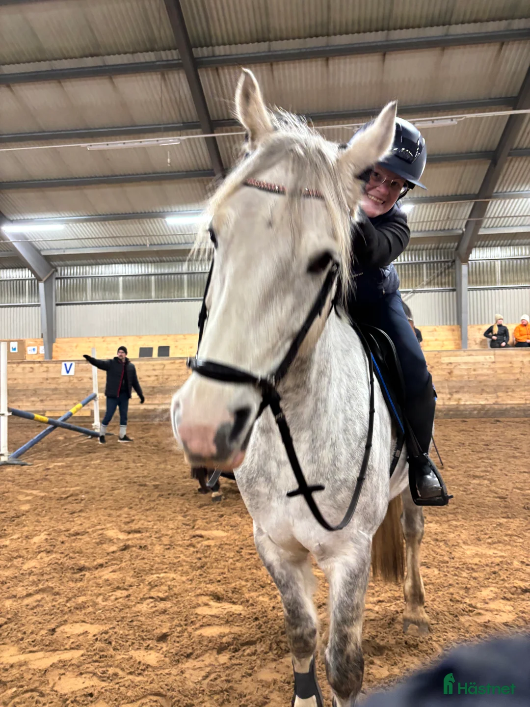 Galleribild {{count}}