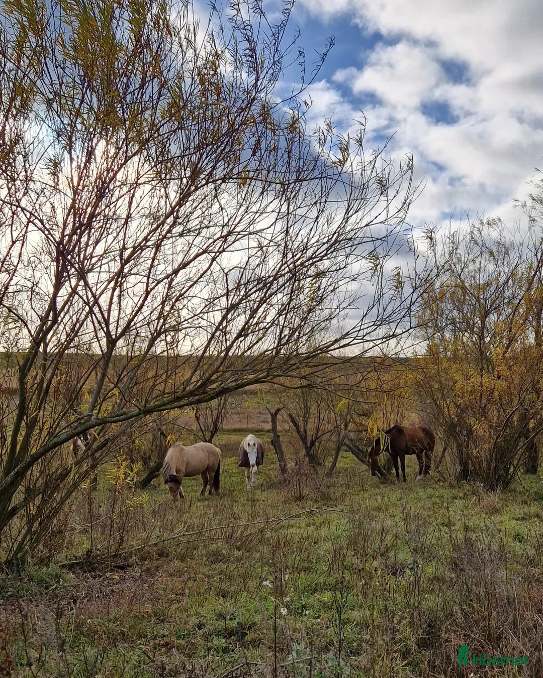 Galleribild {{count}}