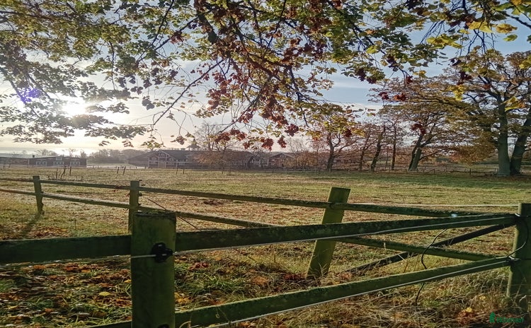  stallplats i Hjo - Annons 1