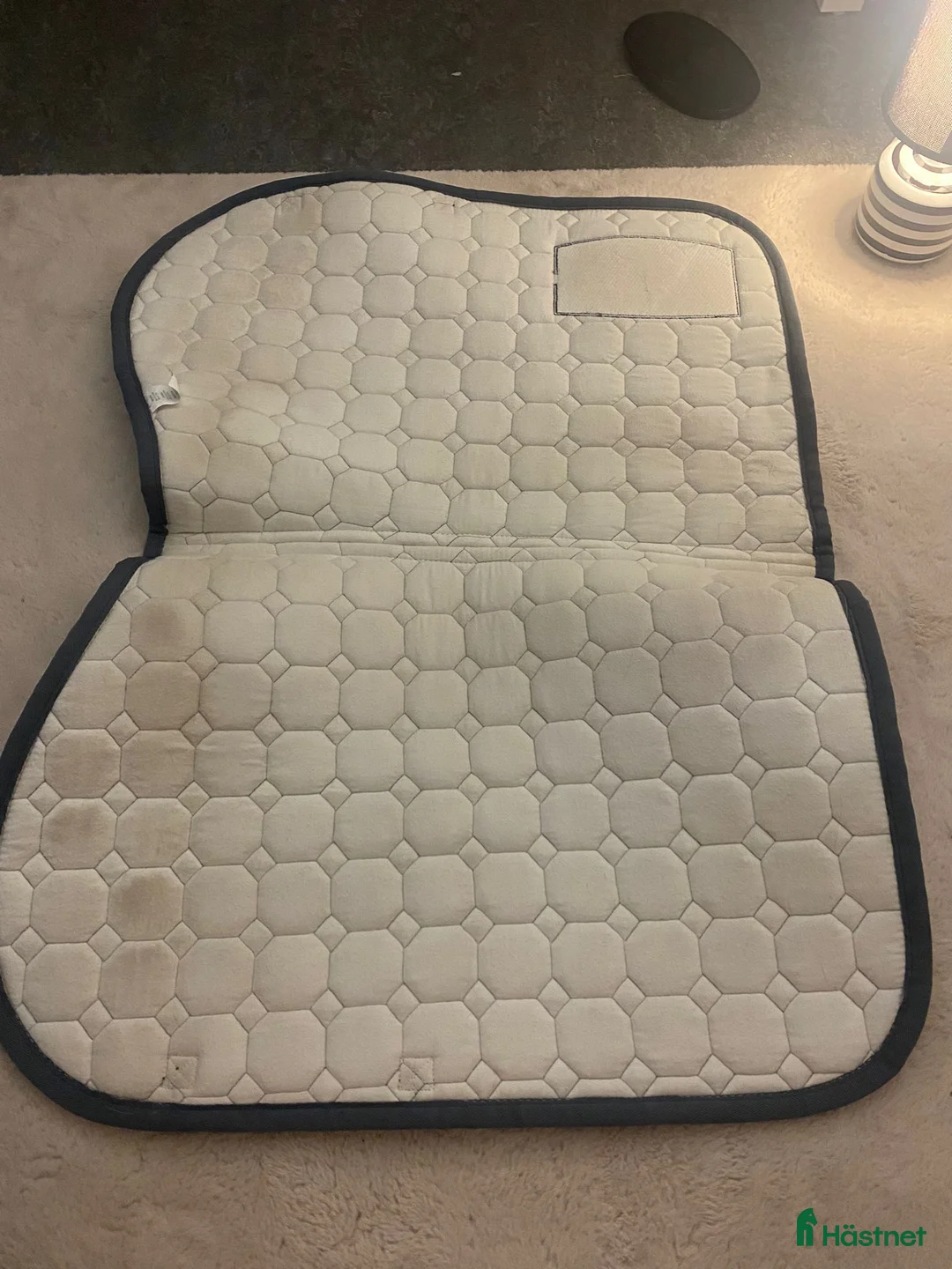 Schabrak & Vojlockar hästutrustning till salu: E-LOGGA EQULINE COB - Annons 3