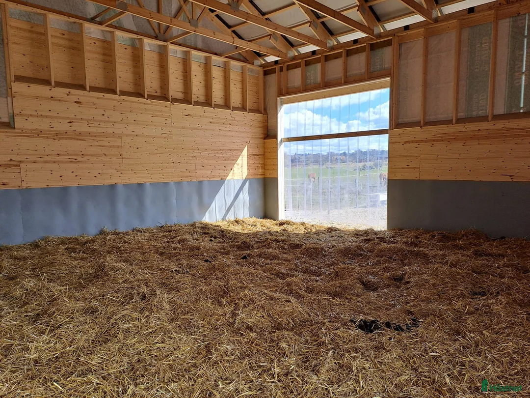  stallplats finnes: Lösdrift Häst - ung som gammal - blandflock i Bro - Annons 9