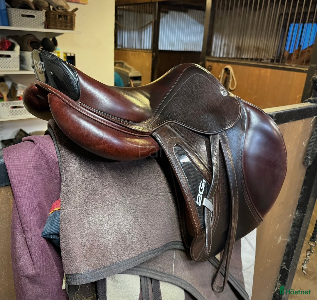 Sadlar hästutrustning till salu: Cwd 2Gs i Sölvesborg - Annons 5