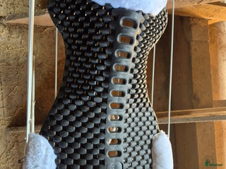 Sadeltillbehör hästutrustning till salu: Acavallo frontriser i Kungsängen - Annons 5