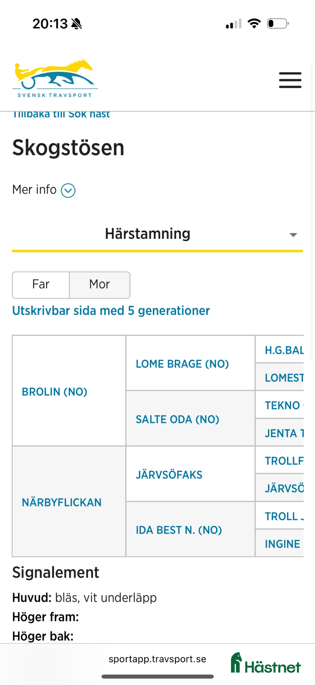 Trav hästar till salu: Fin Ettåring  i Norrala - Annons 2