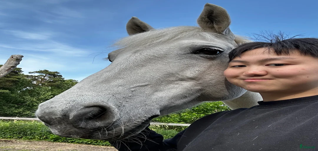 Galleribild {{count}}