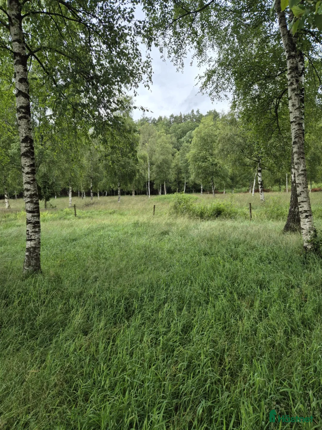  stallplats finnes: Stallplats i Kärtared, Alingsås i Alingsås - Annons 6