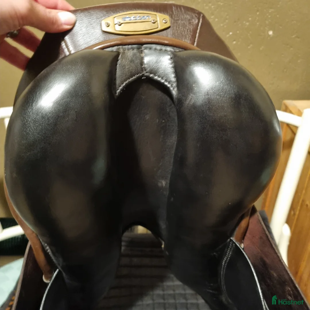Övrig Hästutrustning hästutrustning till salu: Utrustning sadel och träns m.m. - Annons 9