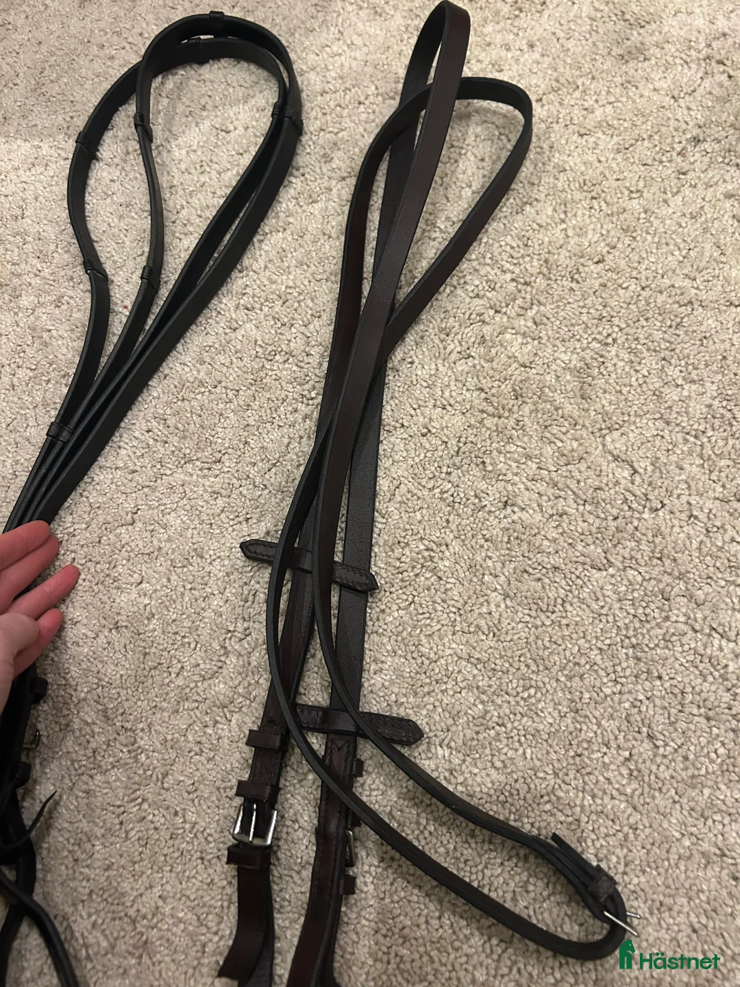 Träns hästutrustning till salu: Lädertyglar svarta och mörkbruna i Enhörna - Annons 5