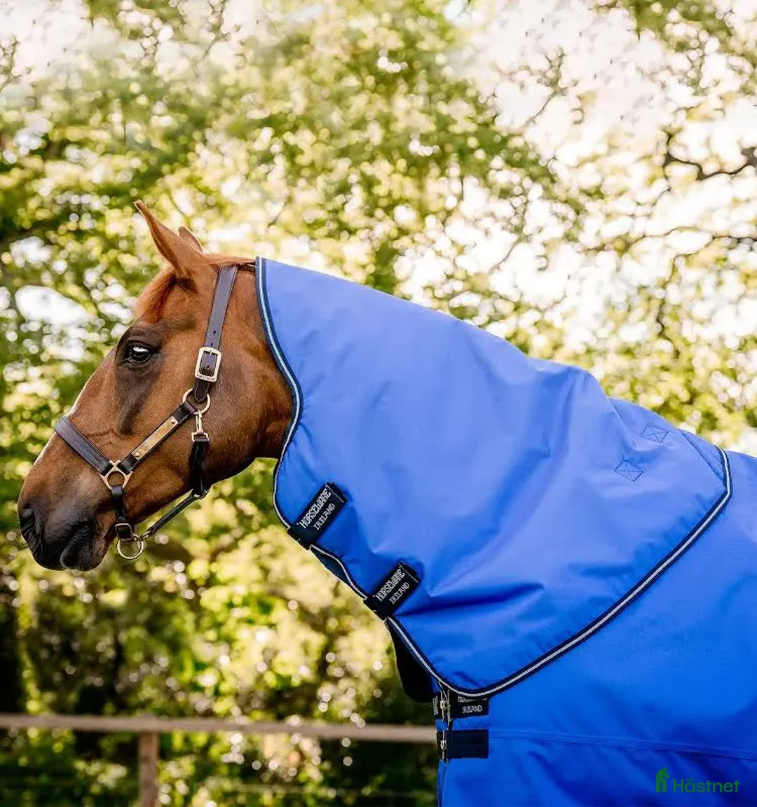 Täcken hästutrustning till salu: Amigo hero hood Large i Båstad - Annons 7