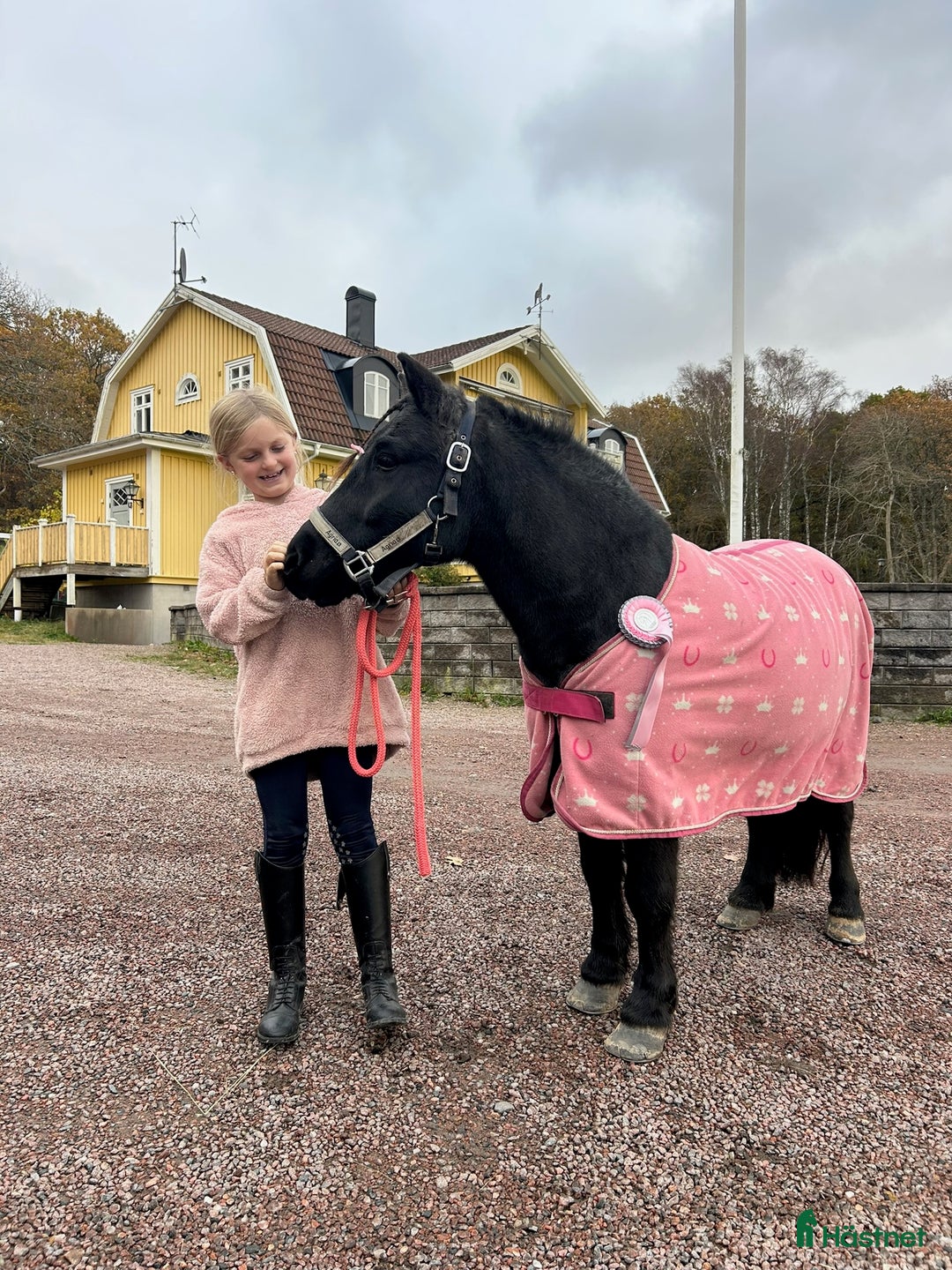Allround hästar till salu: Trevlig shetlandsponny i Vallda - Annons 4