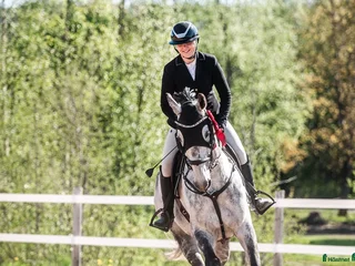 hästar Rolig tävlingskompis i Hudiksvall - Annons 17