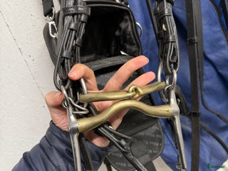 Bett hästutrustning till salu: Stång + bridong i Julita - Annons 4