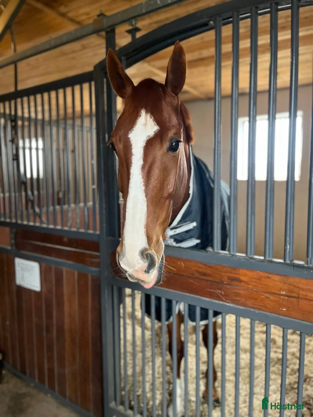  stallplats finnes: Stallplats Kungstorp Ridcenter Höllviken  - Annons 2