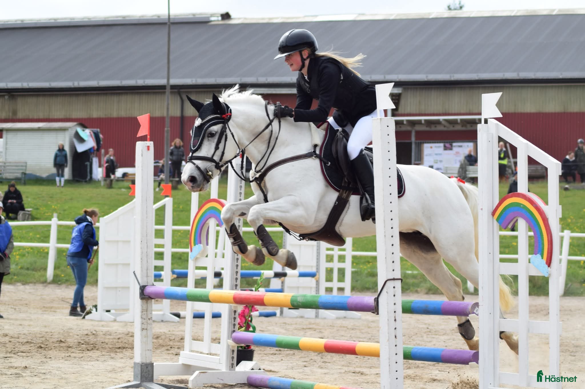  hästar ✨️ Snygg utvecklingsbar Connemara ✨️ - Annons 1