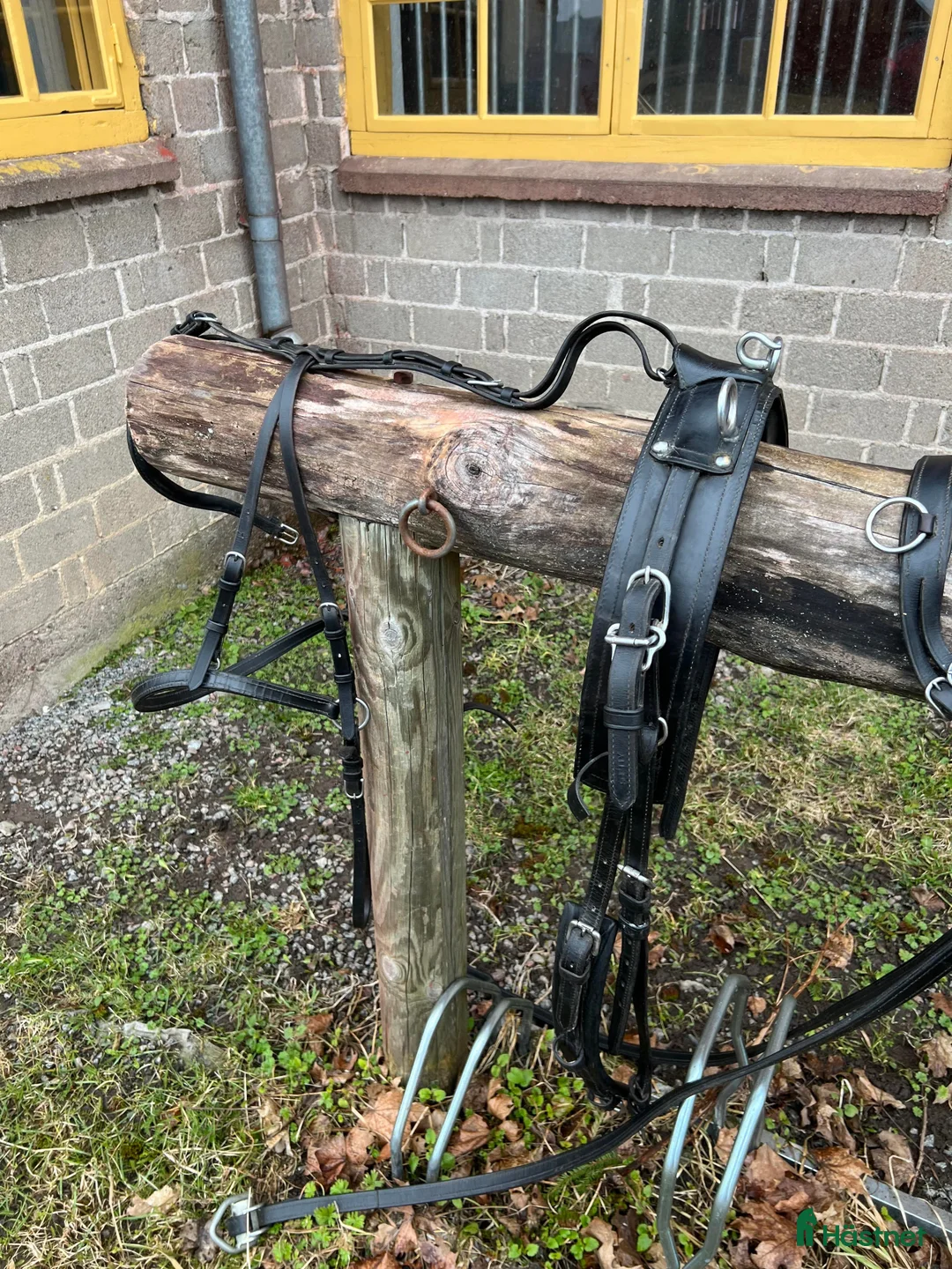 Körvagnar körning till salu: Fin körvagn - Rockard för A-B ponny i Vallentuna - Annons 15