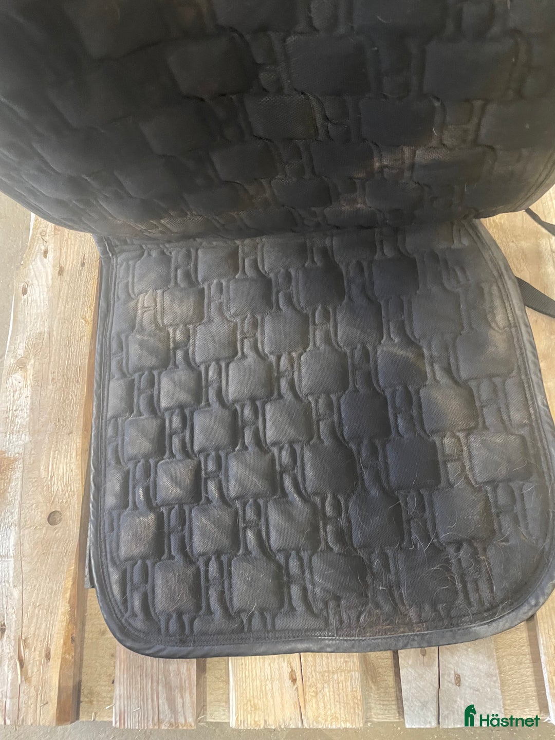 Schabrak & Vojlockar hästutrustning till salu: Dressyr schabrak  i Umeå - Annons 2