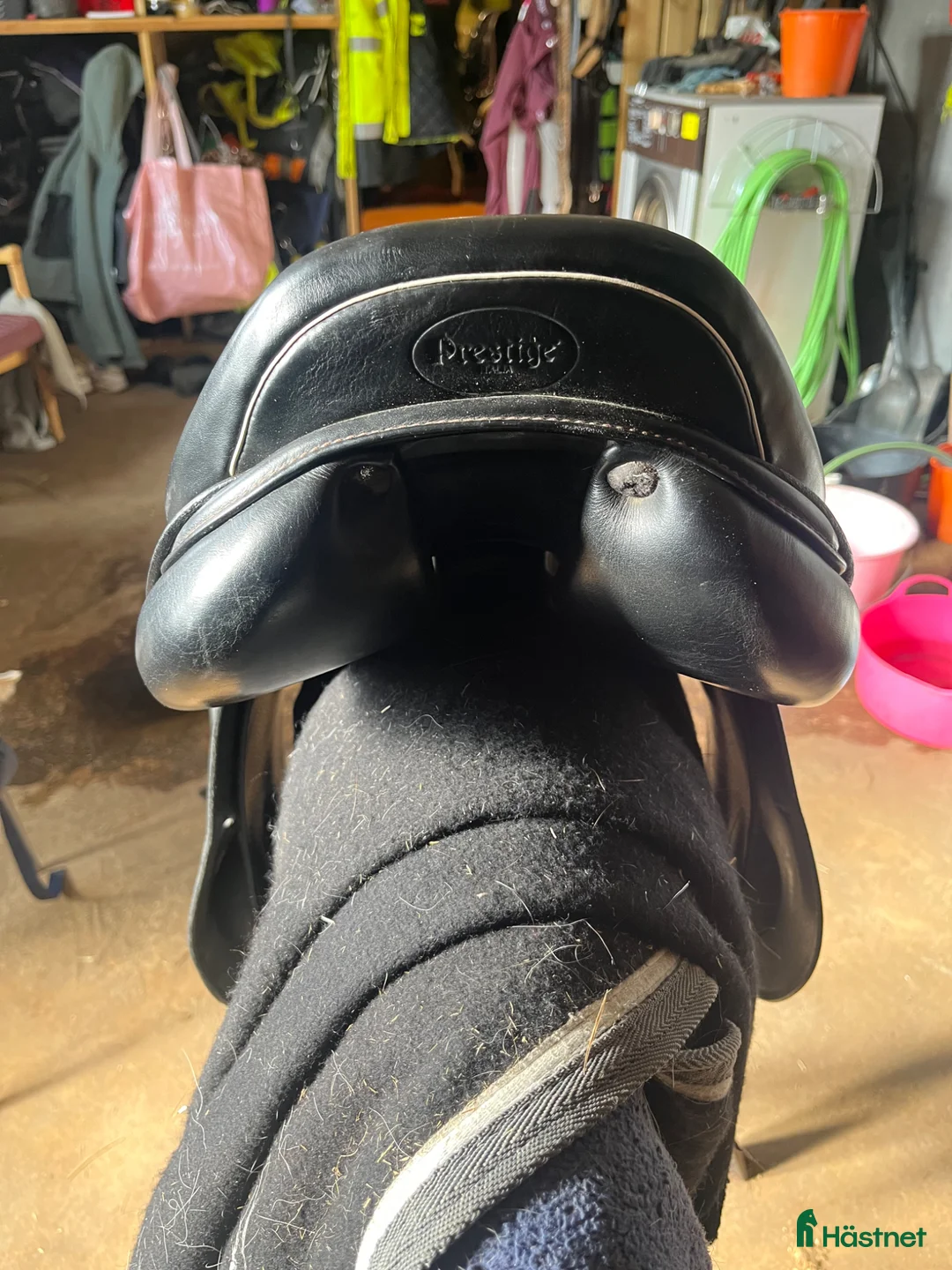Sadlar hästutrustning till salu: Prestige golden star  - Annons 2