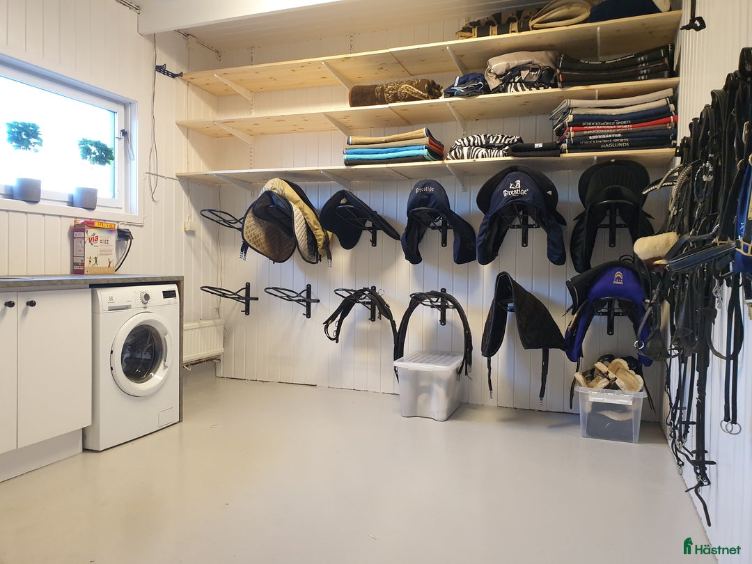  stallplats finnes: Stallplats i Färlöv - Annons 8