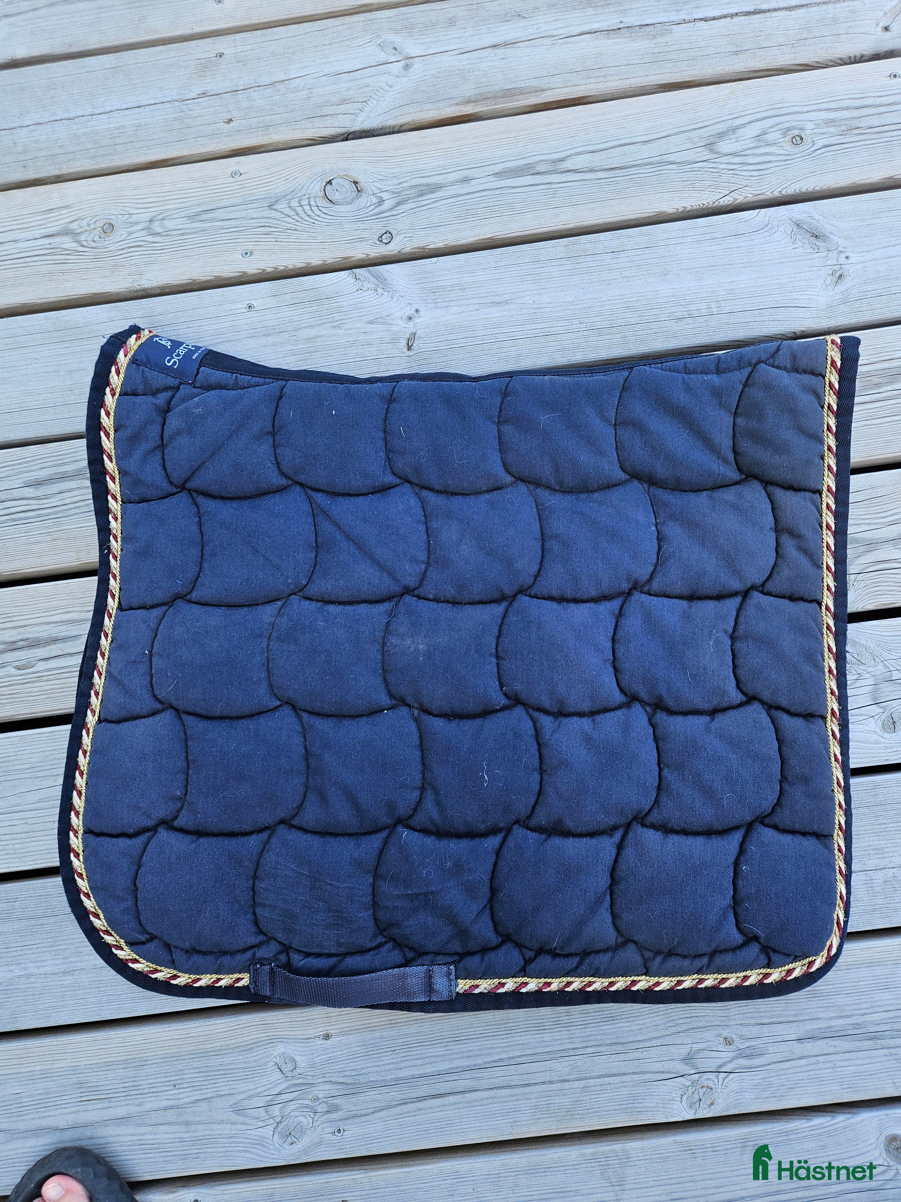 Schabrak & Vojlockar hästutrustning till salu: Anna Scarpati i Ystad - Annons 4