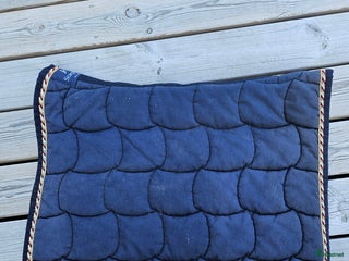 Schabrak & Vojlockar hästutrustning till salu: Anna Scarpati i Ystad - Annons 1