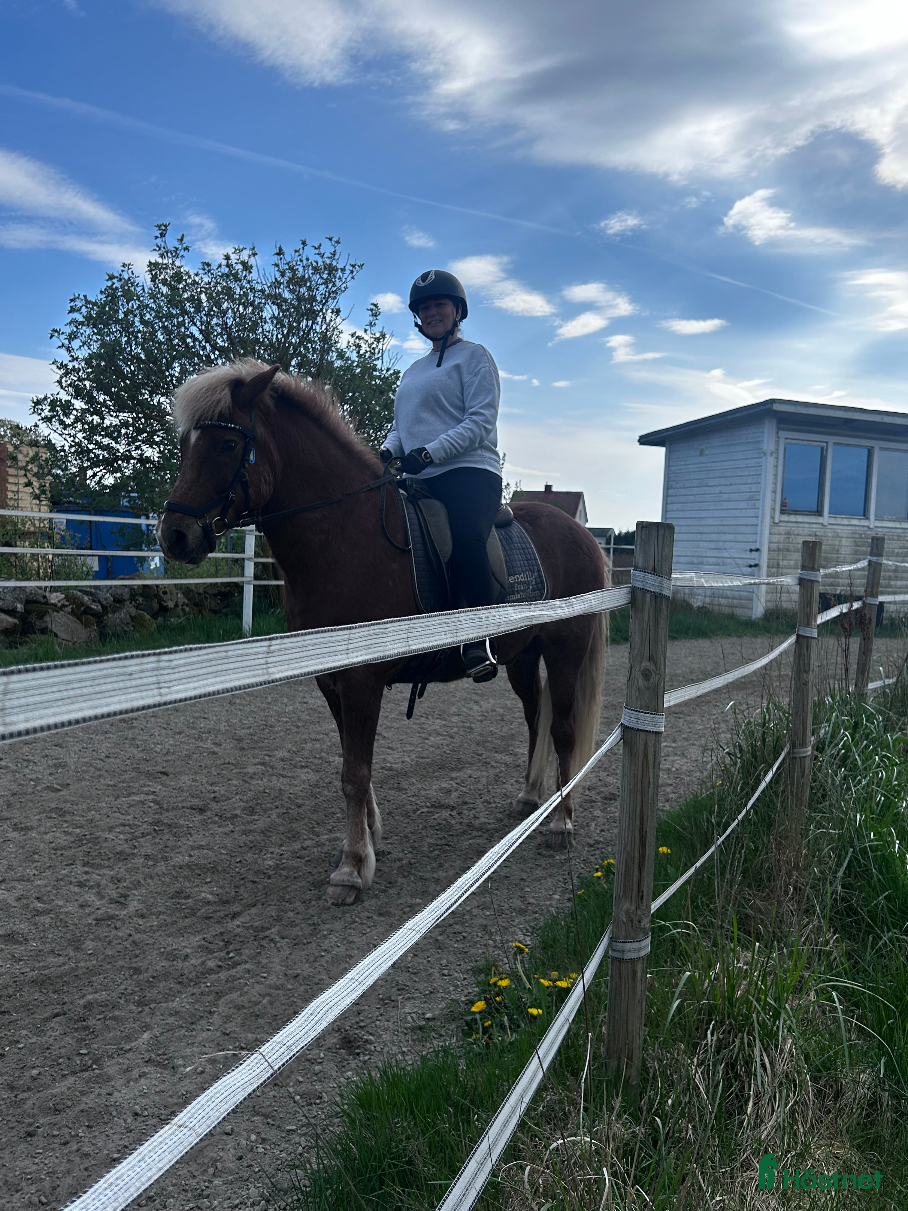  foderhäst Mamma/dotterhäst sökes på foder i Varberg - Annons 19