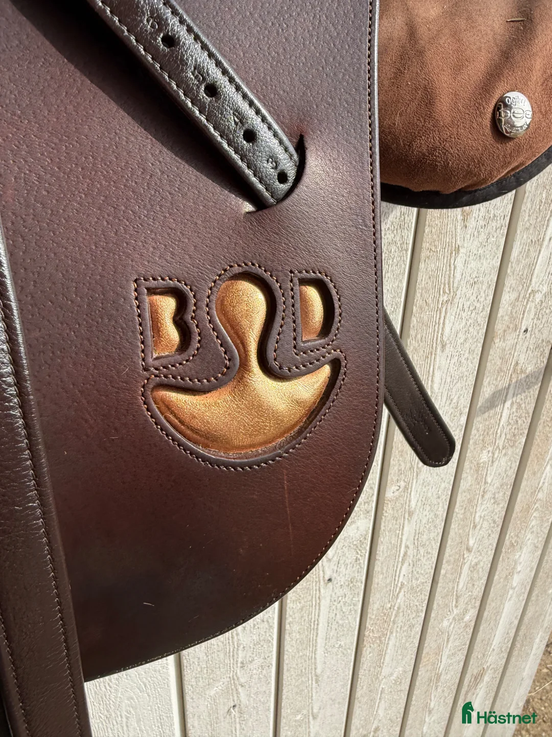 Sadlar hästutrustning till salu: Bruno delgrange 2023 - Annons 2