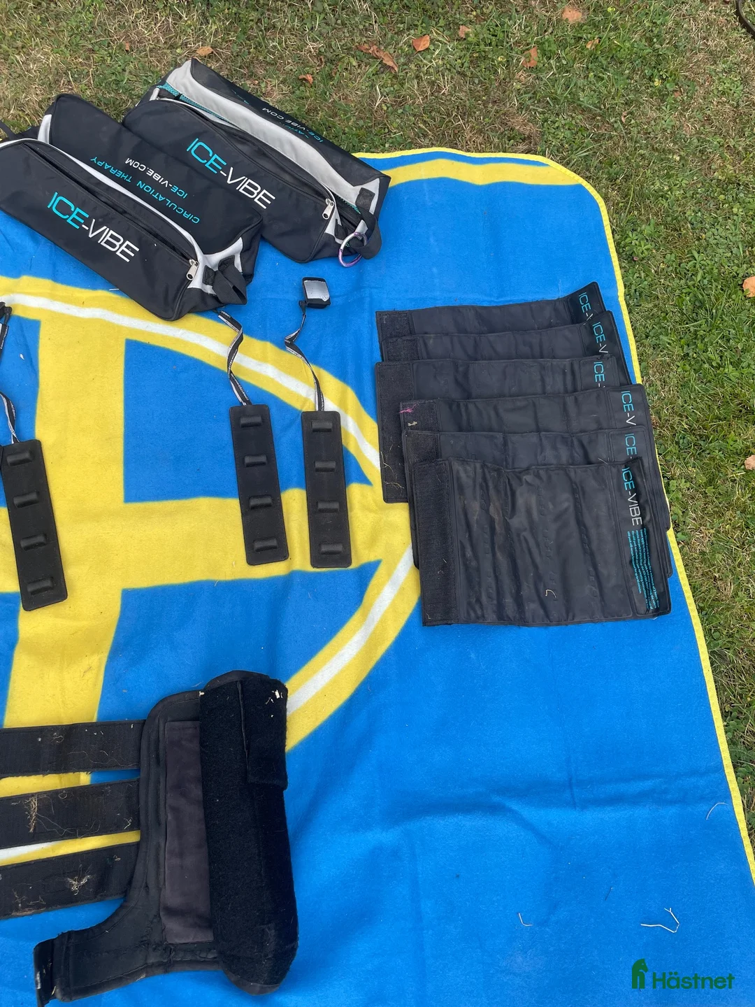 Benskydd hästutrustning till salu: Ice Vibe-set - Annons 2