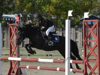 medryttarhäst finnes: Medryttare/delfodervärd sökes ENKÖPING - Annons 5