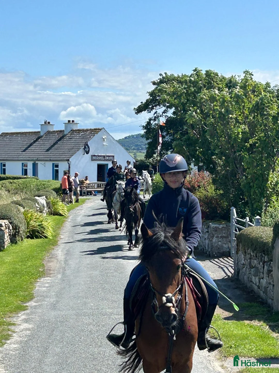 Dressyr hästar till salu: Equestrian holiday in Ireland  - Annons 1